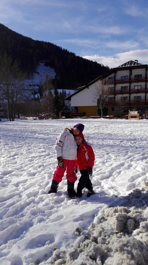 House Arianna Daire Bad Kleinkirchheim Dış mekan fotoğraf
